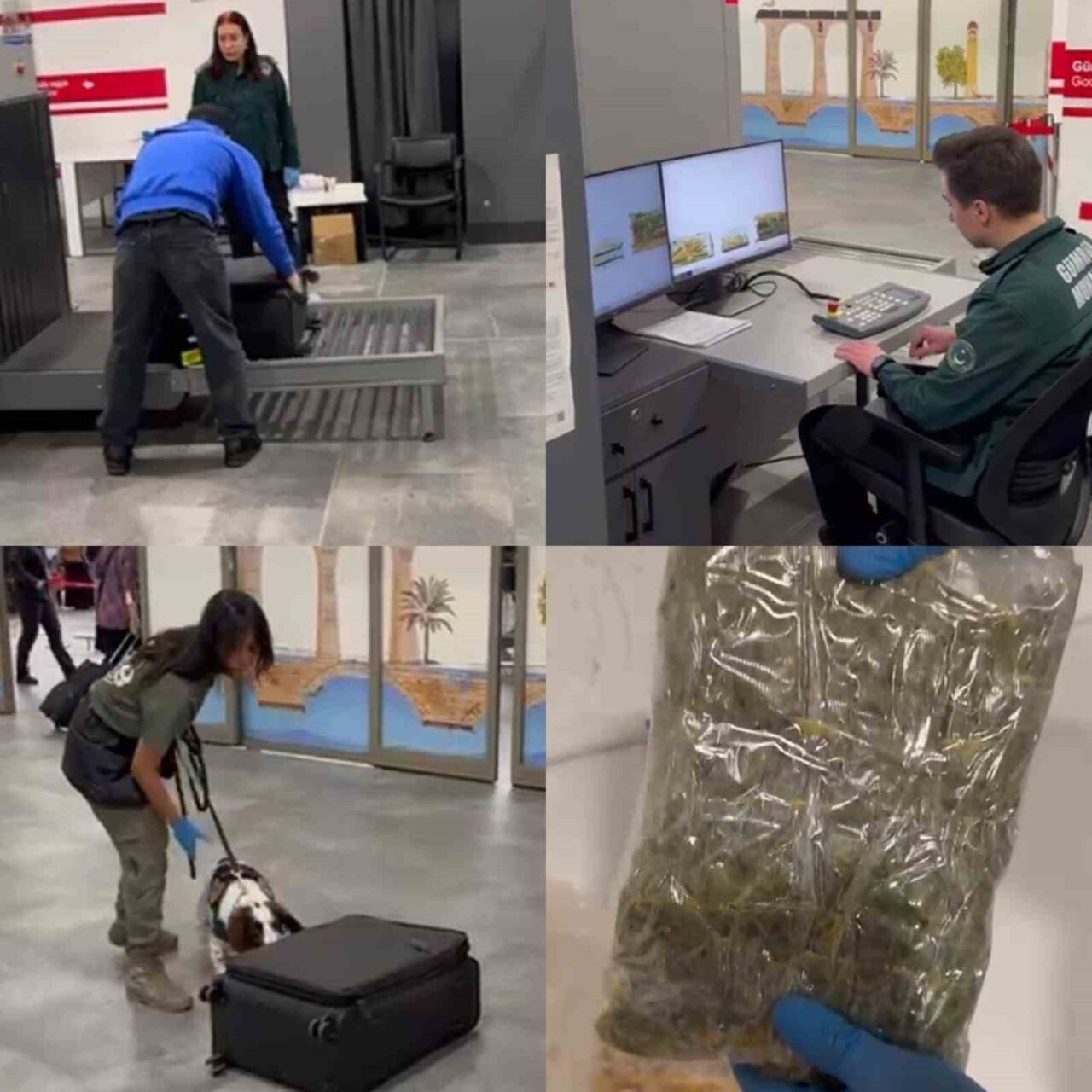 Çukurova Uluslararası Havalimanı’ndan Türkiye’ye giriş yapmak isteyen bir yolcunun valizindeki