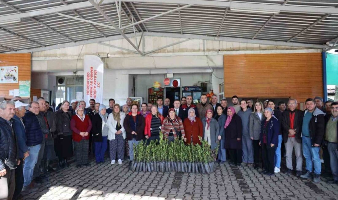 Tıbbi ve aromatik bitkilerde katma değerli üretim hedefiyle hayata geçirilen