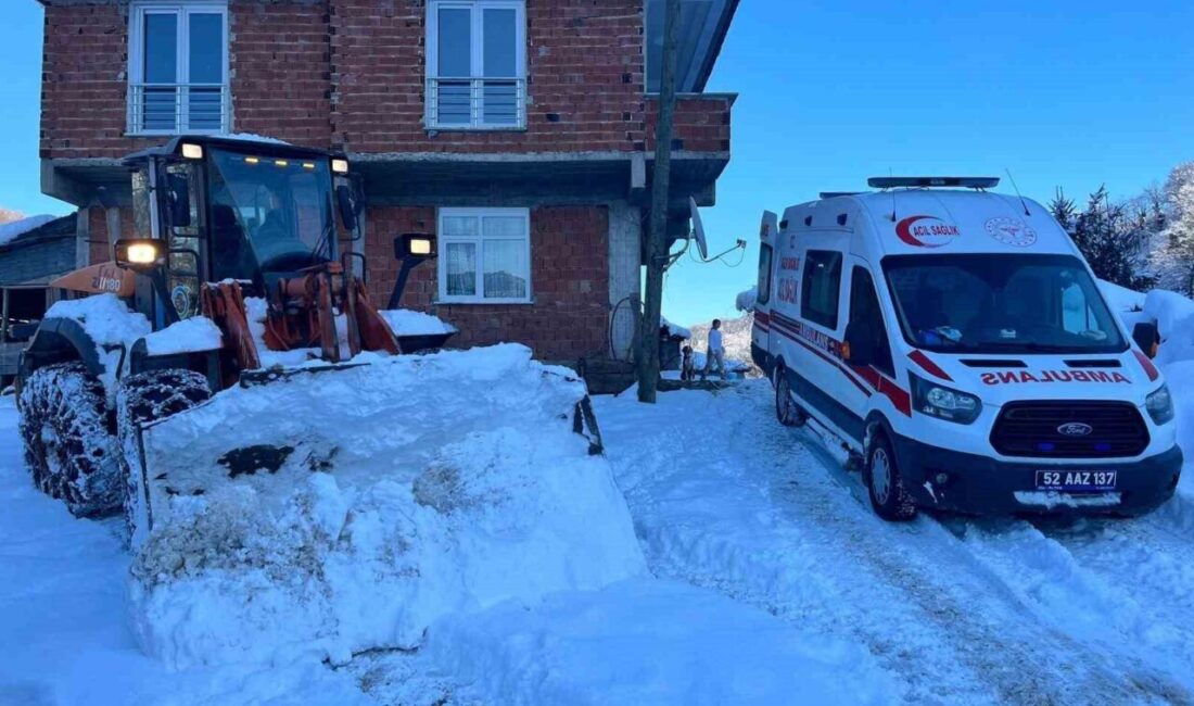 Ordu’nun Ulubey ilçesinde, etkili olan kar yağışının ardından yolların açık