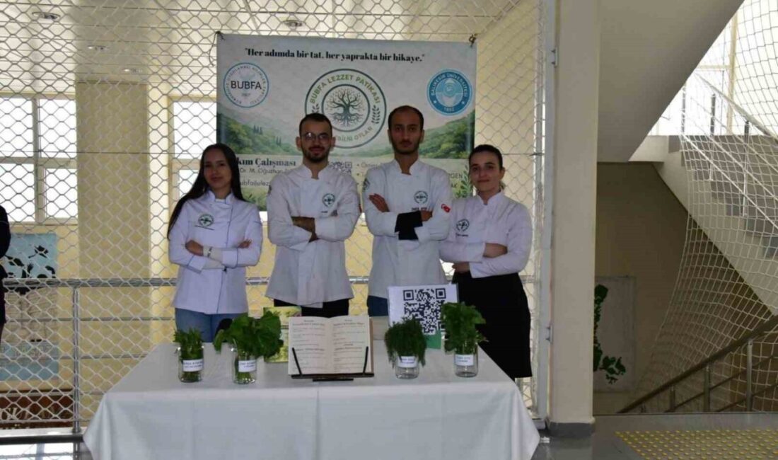 Balıkesir’in Burhaniye ilçesinde, Balıkesir Üniversitesi, Burhaniye Uygulamalı Bilimler Fakültesi, fakülte