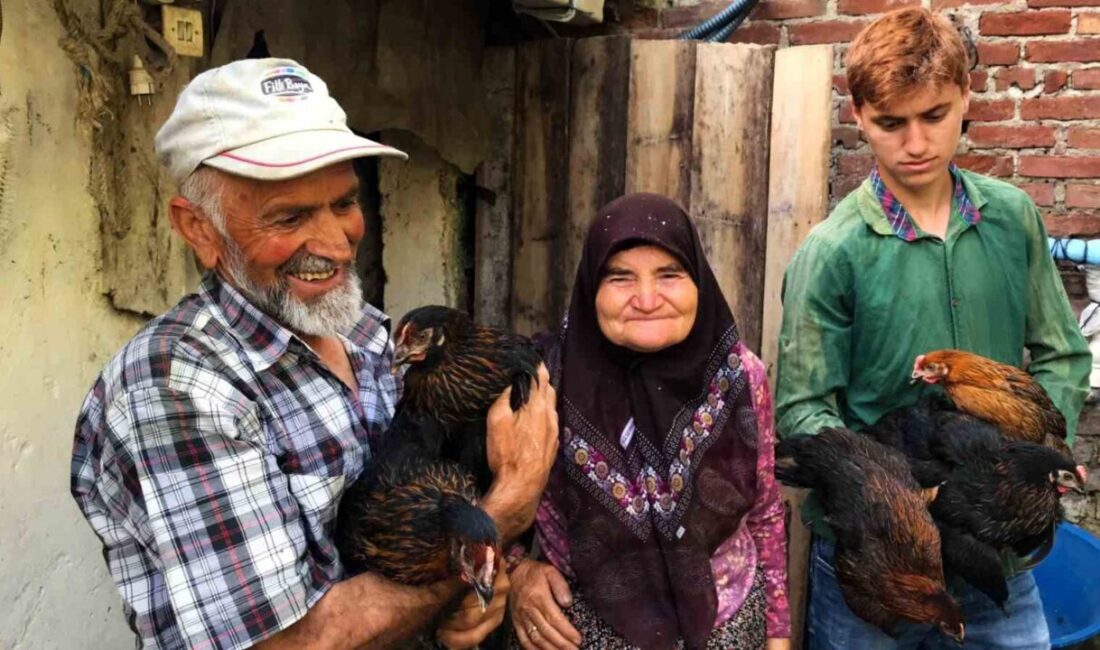 Kocaeli’de yüzde 50 hibeli tarımsal ve hayvansal destek projeleri kapsamında