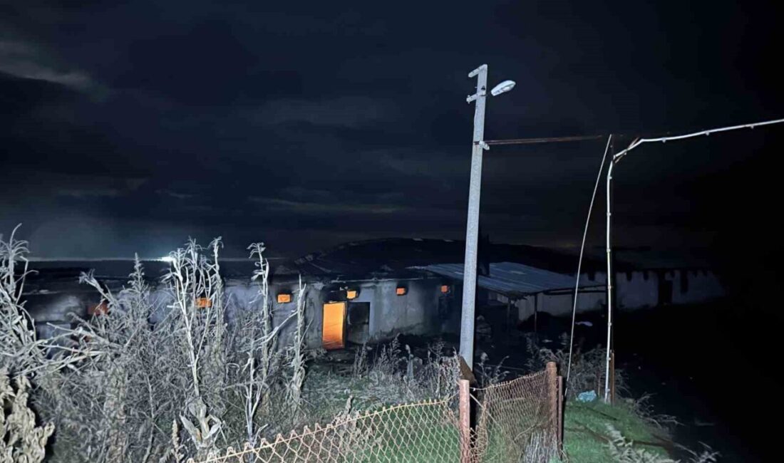 Uşak’ta boş halde bulunan tavuk çiftliğinde çıkan yangın, ekiplerin müdahalesiyle