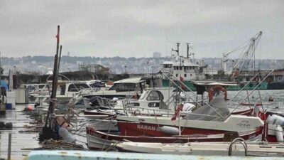 Karadeniz’de “denizlerin kralı” lüfer, adeta Karadenizli zekâsını konuşturdu; balıkçı teknelerinin