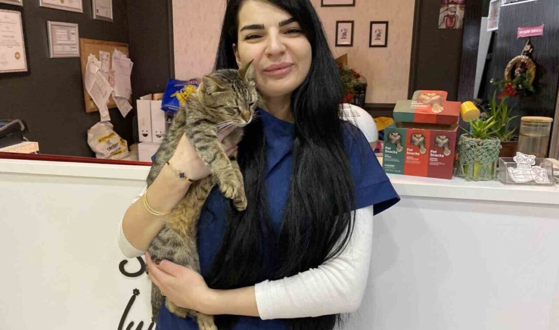 Eskişehir’in soğuk kış aylarında sokak ve ev hayvanlarının sağlığını korumak