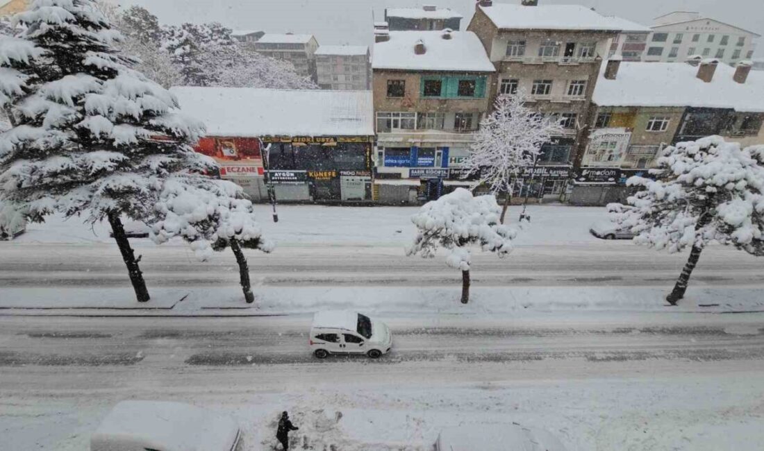 Bitlis Eren Üniversitesi (BEÜ) Mühendislik ve Mimarlık Fakültesi Mimarlık Bölüm