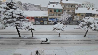 Bitlis Eren Üniversitesi (BEÜ) Mühendislik ve Mimarlık Fakültesi Mimarlık Bölüm