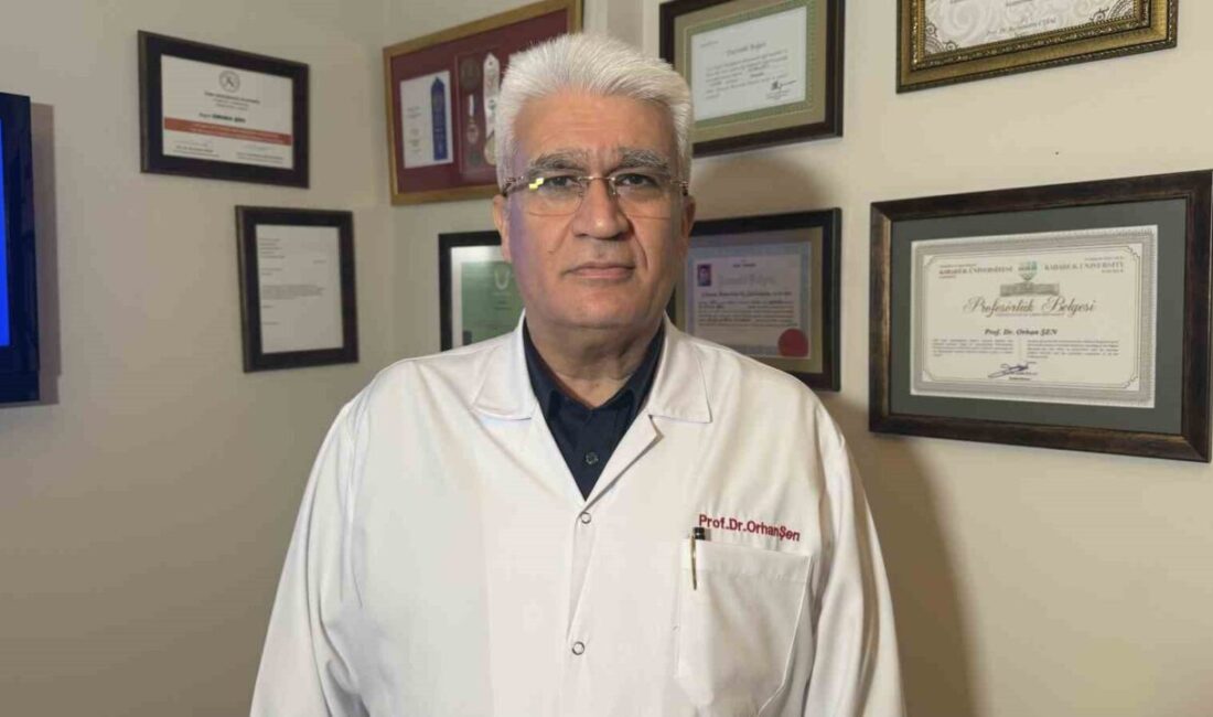 Beyin, Sinir ve Omurilik Cerrahisi Uzmanı Prof. Dr. Orhan Şen,