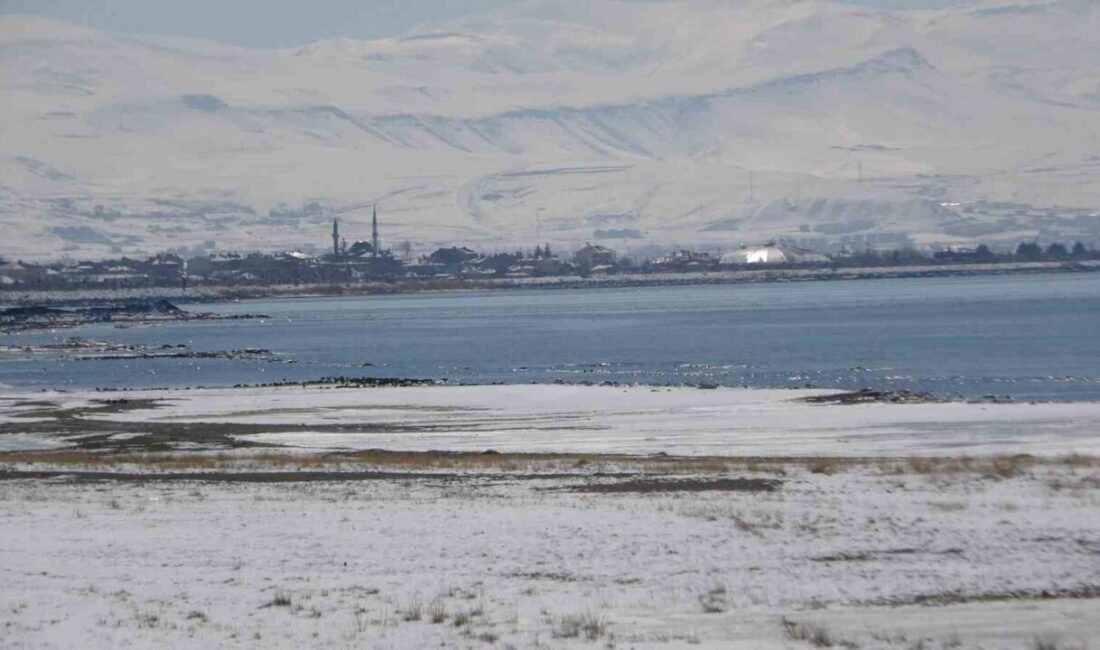 Van Yüzüncü Yıl Üniversitesi (YYÜ) Edebiyat Fakültesi Coğrafya Bölümü Öğretim