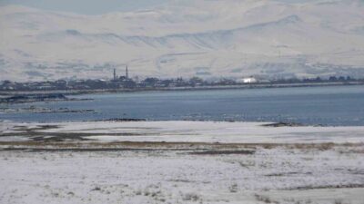 Van Yüzüncü Yıl Üniversitesi (YYÜ) Edebiyat Fakültesi Coğrafya Bölümü Öğretim