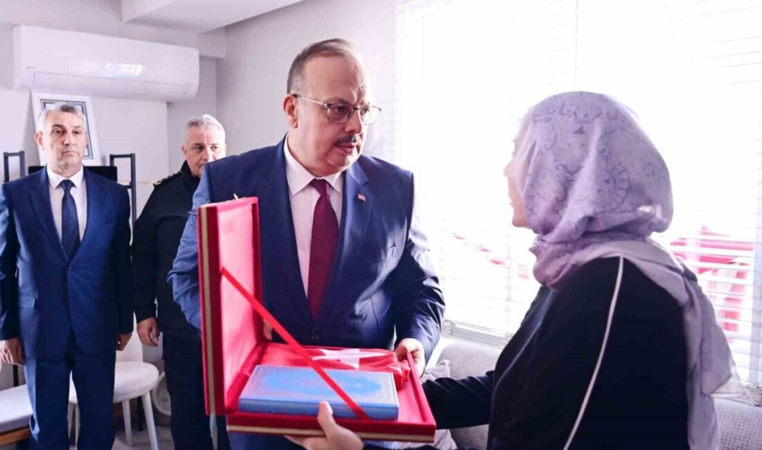 Aydın Valisi Yakup Canbolat, Yalova’da terör örgütü DEAŞ’a yönelik gerçekleştirilen