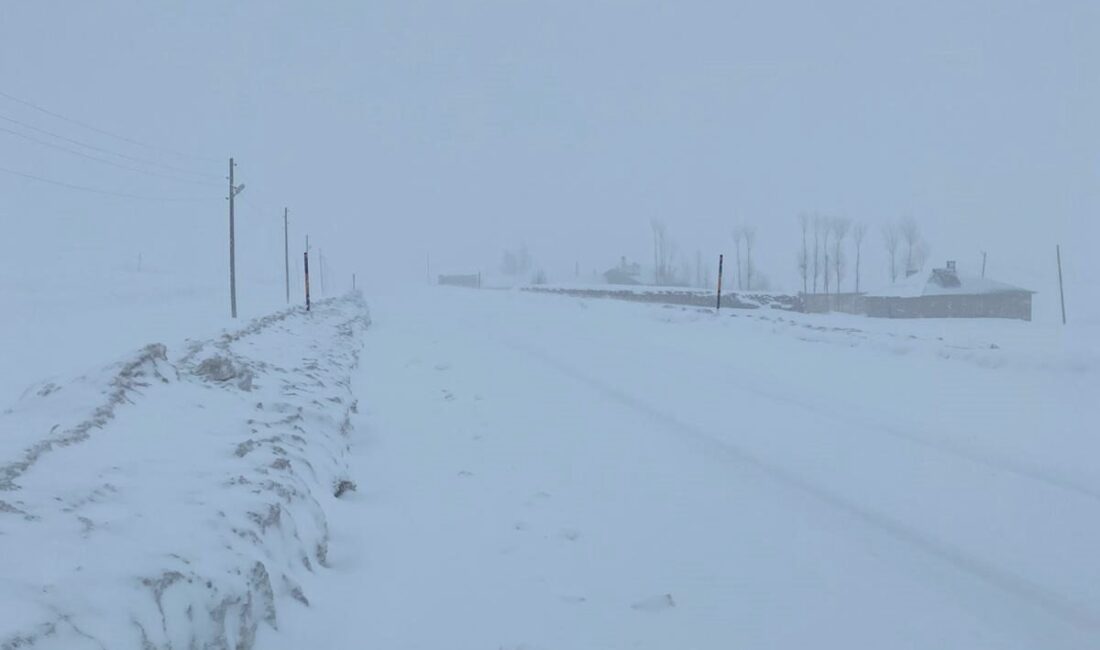 Van’da etkili olan kar yağışı, tipi ve sis nedeniyle Çatak