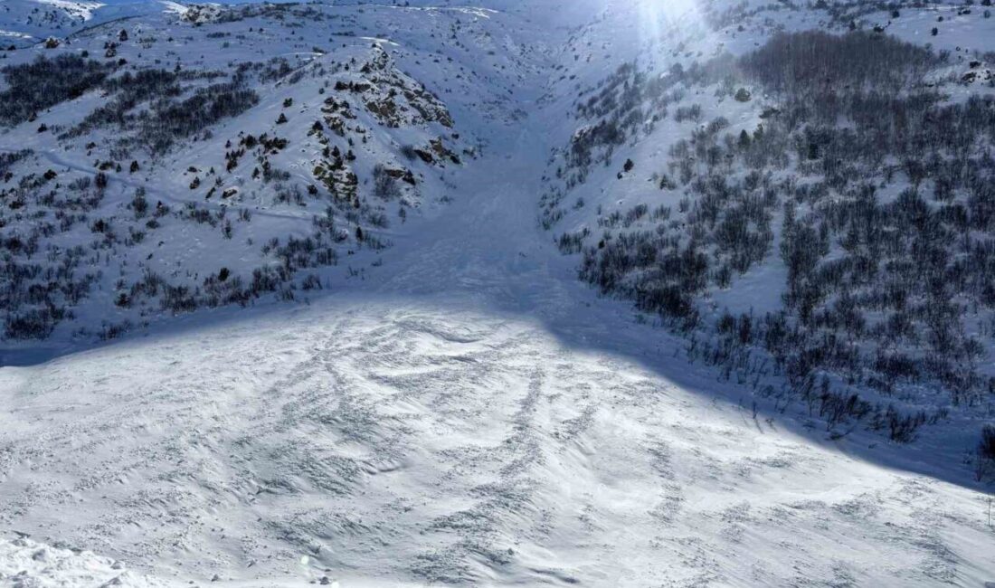 Van’da etkili olan yoğun kar yağışı ve ardından meydana gelen