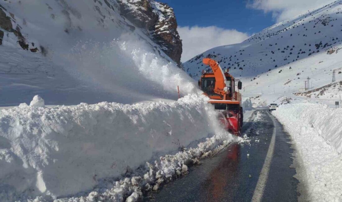 Van’ın Çatak ilçesine ulaşımı sağlayan karayoluna düşen çığ nedeniyle yol