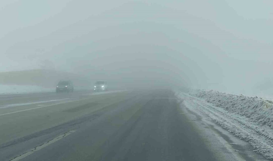 Van-Özalp kara yolunda sabah saatlerinde etkili olan yoğun sis, görüş