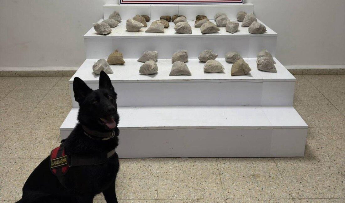 Van’ın Başkale ilçesinde jandarma ekipleri tarafından jandarma ekipleri tarafından yapılan