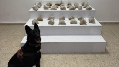 Van’ın Başkale ilçesinde jandarma ekipleri tarafından jandarma ekipleri tarafından yapılan