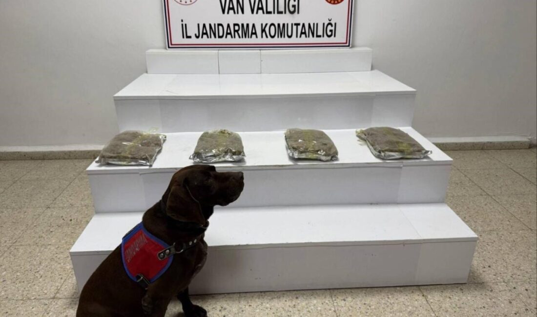 Van’ın Başkale ilçesinde jandarma ekipleri tarafından yapılan çalışmalarda 5 kilo