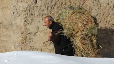 Van’ın Çatak ilçesinde besiciler, kar yağışı ve soğuk havada meraya