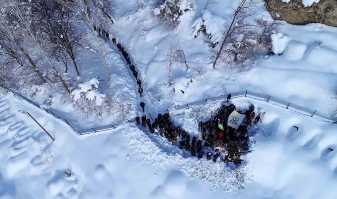 Van’ın Çatak ilçesinde meydana gelen çığ felaketinde kar kütlesinin altında