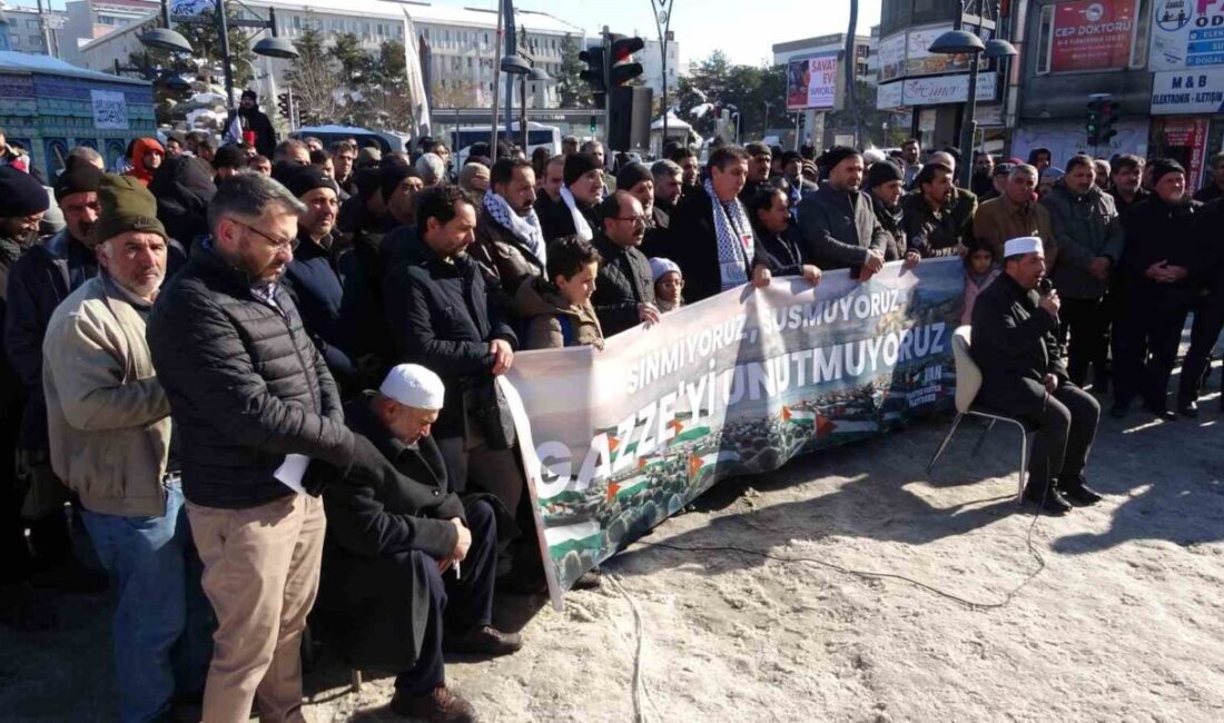 Van Filistin’e Destek Platformu üyeleri, Gazze’de devam eden insanlık dramına