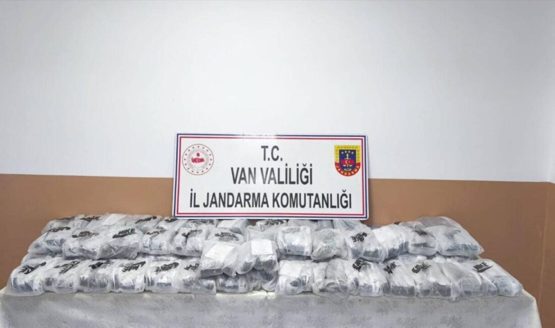 Van’ın Başkale ilçesinde jandarma ekiplerince yürütülün çalışmalar sonucunda gümrük kaçağı