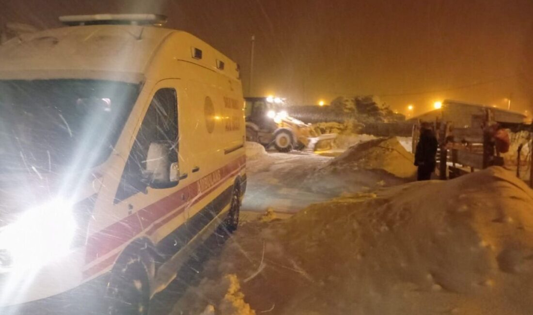 Van’ın farklı noktalarında kar yağışı, fırtına ve tipi nedeniyle mahsur