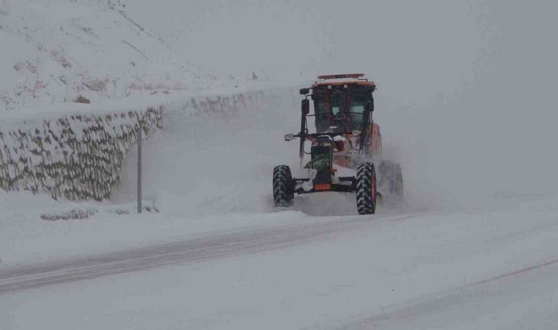 Van genelinde önceki gün etkili olan kar yağışı günlük yaşamı