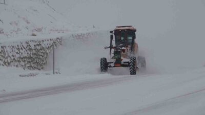 Van genelinde önceki gün etkili olan kar yağışı günlük yaşamı