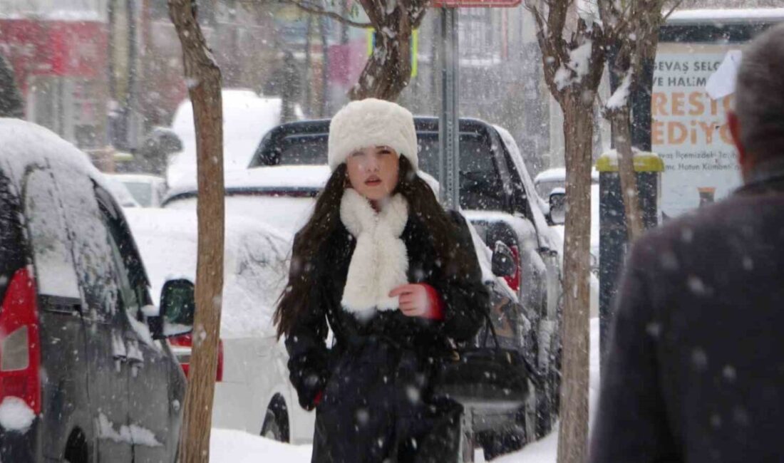 Van genelinde etkili olan kar yağışı, günlük yaşamı olumsuz etkiledi.