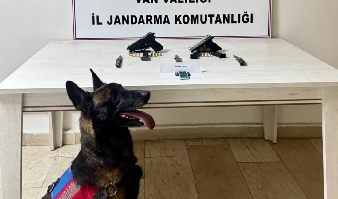 Van’ın Erciş ilçesinde jandarma ekiplerince yürütülen çalışmalar sonucunda ruhsatsız tabanca