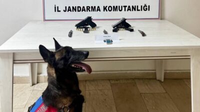 Van’ın Erciş ilçesinde jandarma ekiplerince yürütülen çalışmalar sonucunda ruhsatsız tabanca