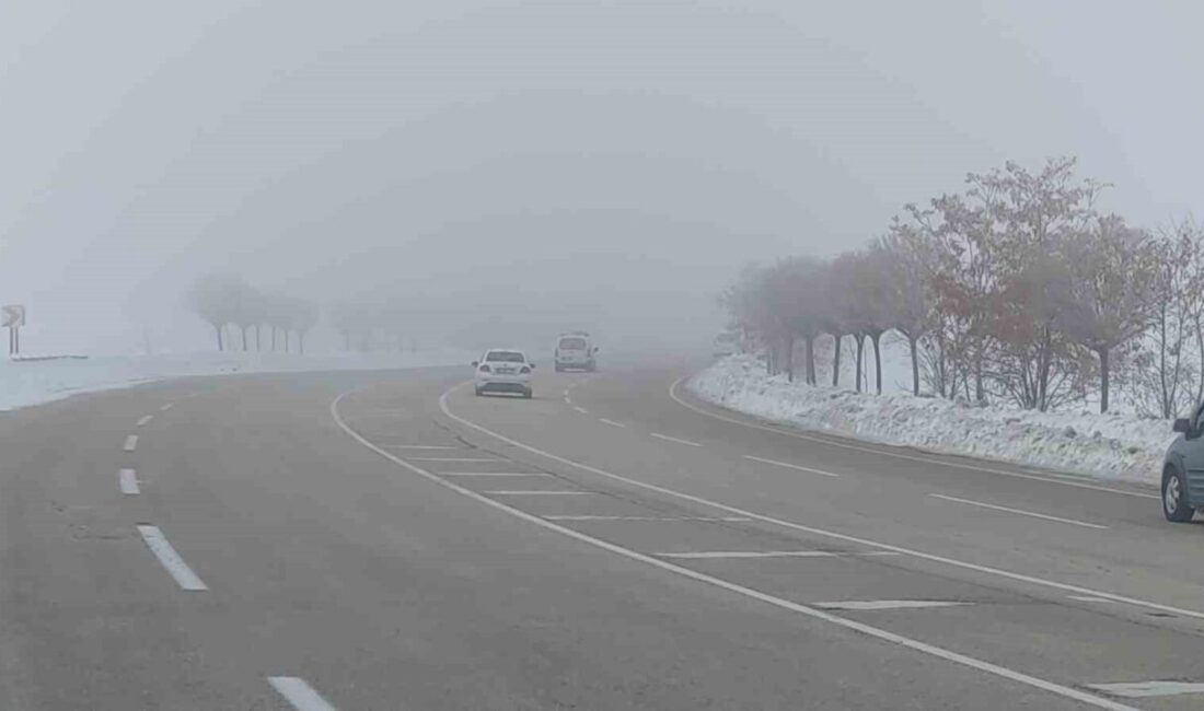 Van-Özalp kara yolunda sabah saatlerinde etkili olan yoğun sis, görüş