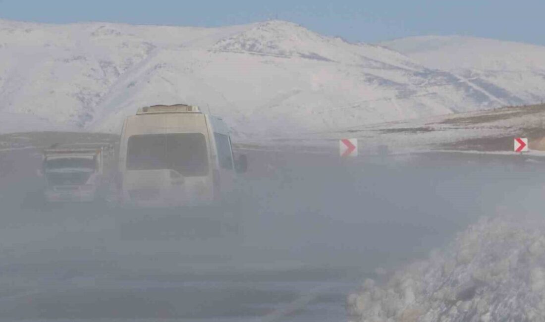Van genelinde etkili olan soğuk hava dalgası, yüksek kesimlerde yerini
