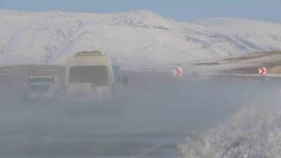 Van genelinde etkili olan soğuk hava dalgası, yüksek kesimlerde yerini
