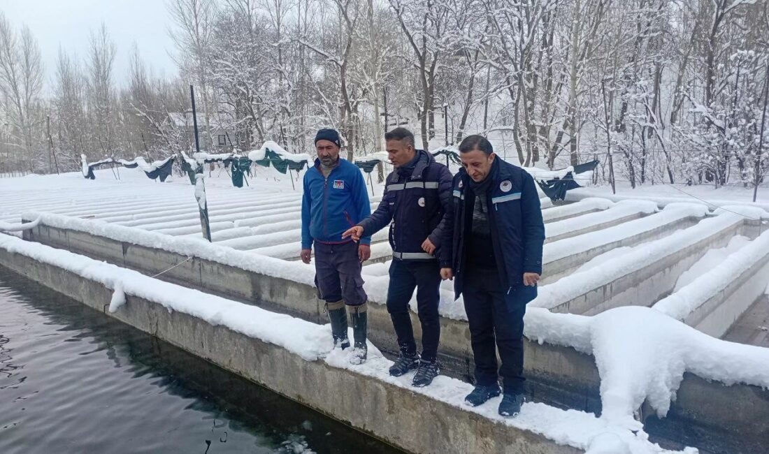 Van’da kar ve dondurucu soğuklara rağmen kent genelindeki alabalık üretim