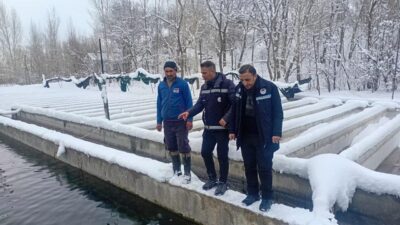 Van’da kar ve dondurucu soğuklara rağmen kent genelindeki alabalık üretim