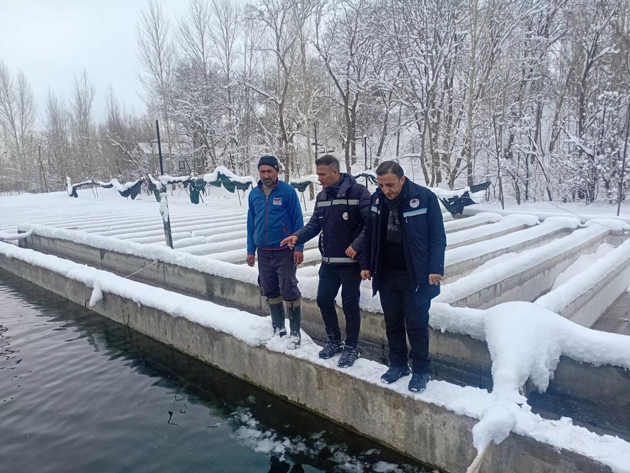 Van’da kar ve dondurucu soğuklara rağmen kent genelindeki alabalık üretim