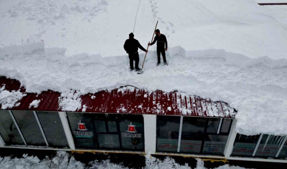 Bitlis’te etkisini sürdüren yoğun kar yağışının ardından, muhtemel çatı çökmeleri