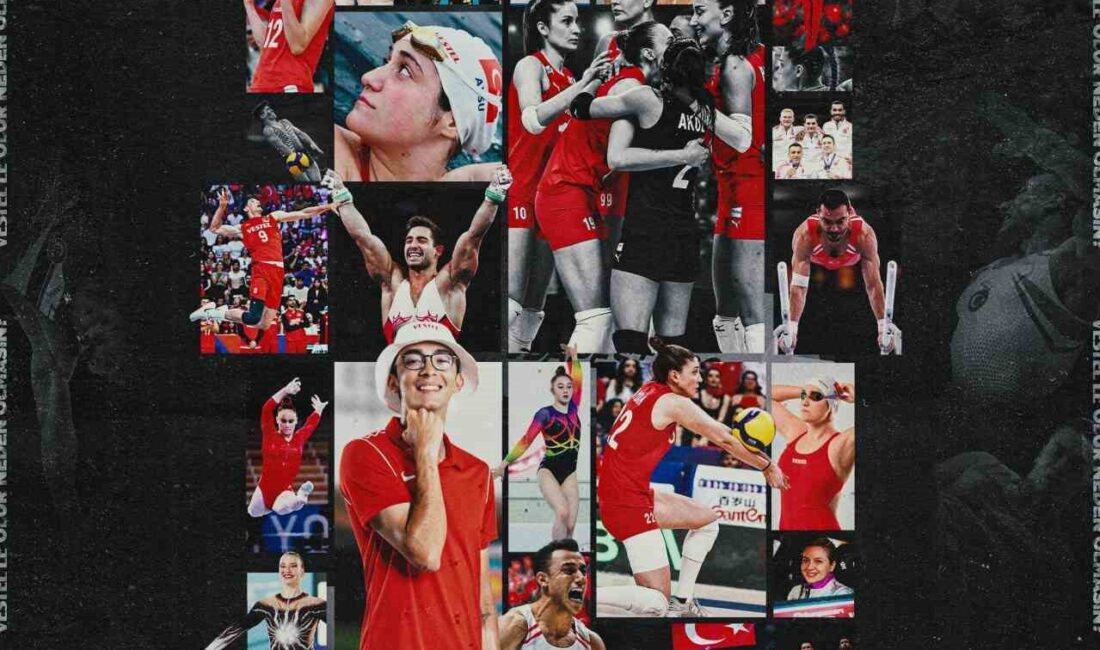 2025 yılı, Vestel’in desteklediği milli takımlar ve bireysel sporcular için