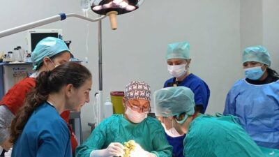 BAÜN Veteriner Fakültesi Hayvan Hastanesi, her yıl artan hizmet kalitesi