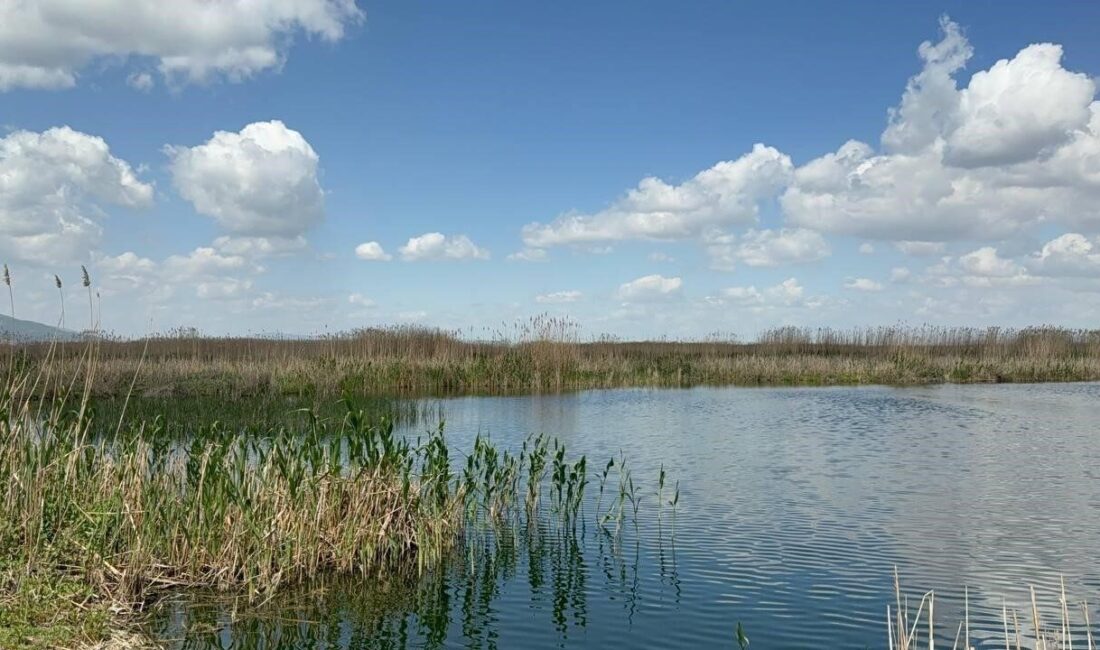 Afyonkarahisar’da son yaşanan yağışlar kuruma tehlikesinin baş gösterdiği Eber Gölü’ne