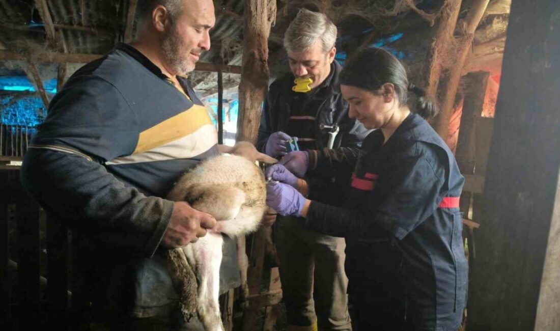 Yalova Tarım ve Orman İl Müdürlüğü Hayvan Sağlığı Şube Müdürlüğü,