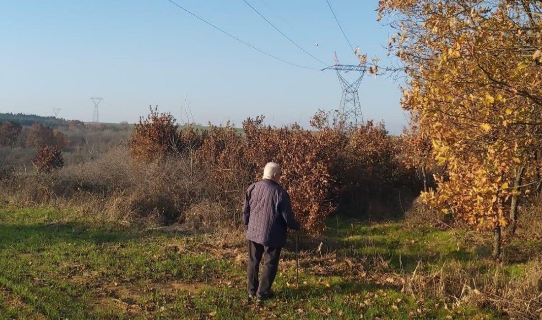Kırklareli’nin Babaeski ilçesinde enerji nakil hattı sebebiyle yapılan kamulaştırma işlemine