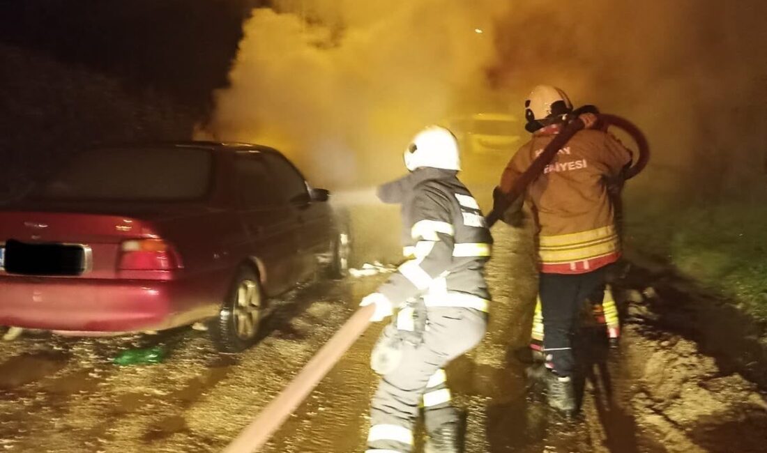 Hatay’da seyir halineyken motor kısmı yanan otomobilde hasar oluştu. Yangın;