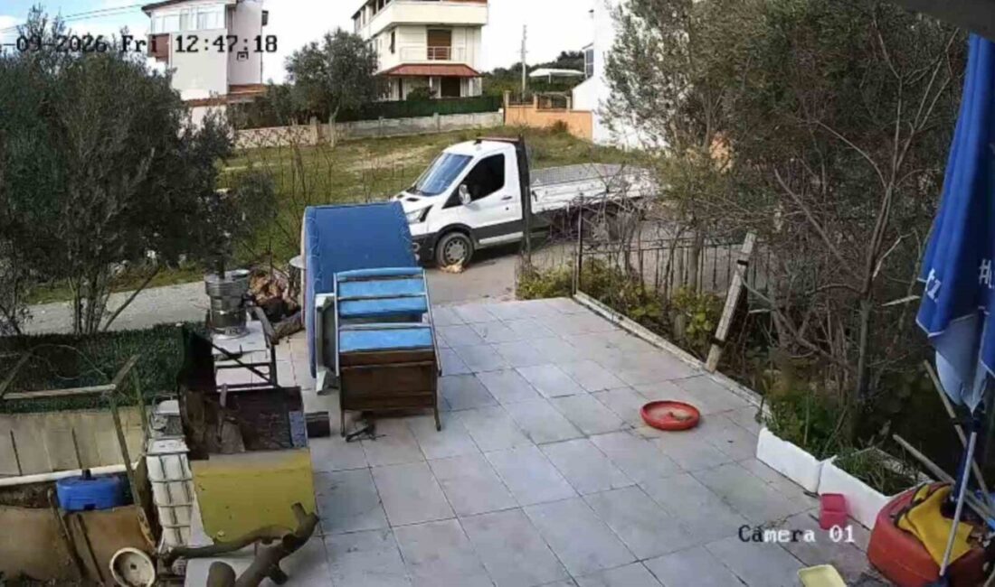 İzmir’in Seferihisar ilçesinde bir kamyonet, yol kenarında yatan köpeği ezip