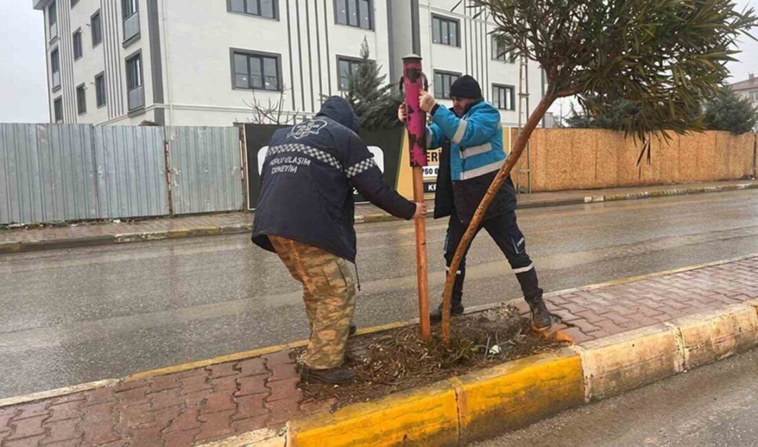 Adıyaman Belediyesi Park ve Bahçeler Müdürlüğü ekipleri, kent estetiğini korumak