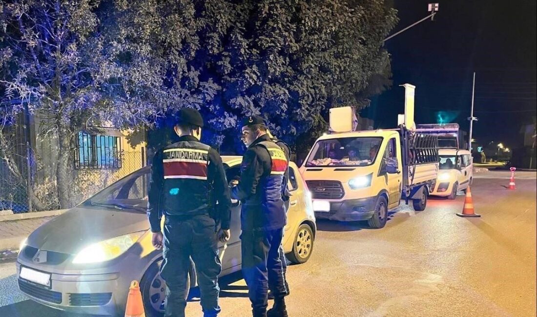 Mersin genelinde yılbaşı dolayısıyla alınan güvenlik, sağlık ve denetim tedbirleri