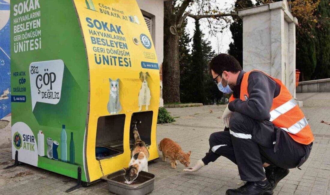 Yıldırım Belediyesi, havaların soğuması ile birlikte sokak hayvanlarına yönelik çalışmalarını
