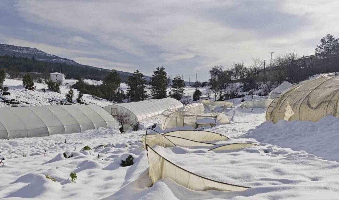 Karabük’ün Safranbolu ilçesinde etkili olan yoğun kar yağışı, seralarda büyük