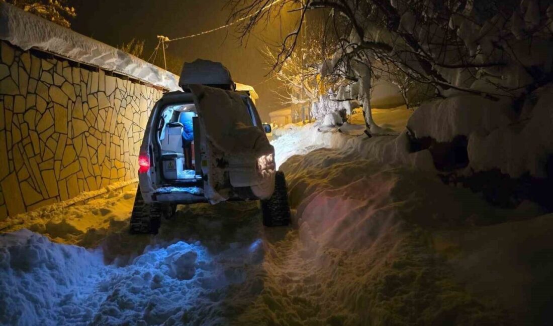 Bingöl’de etkili olan yoğun kar yağışı nedeniyle ulaşıma kapanan yol